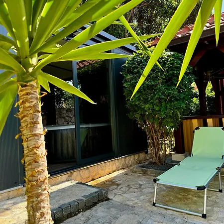 Apartment Ante Solin